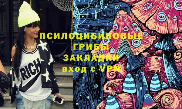 МДПВ Верхний Тагил