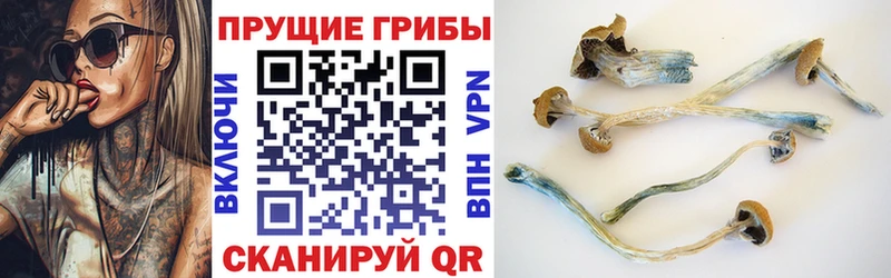 Псилоцибиновые грибы MAGIC MUSHROOMS  mega рабочий сайт  Калуга 